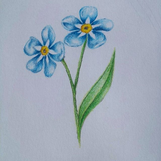 Forget Me...Not.