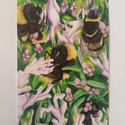 Bee Colony