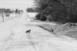Country Road