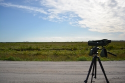 Scope