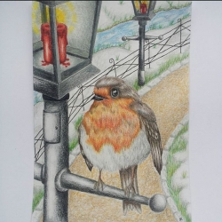 Robin