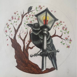 Crows