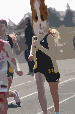 Run Hampster Run