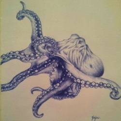 Mr Octopus