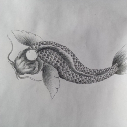 Koi